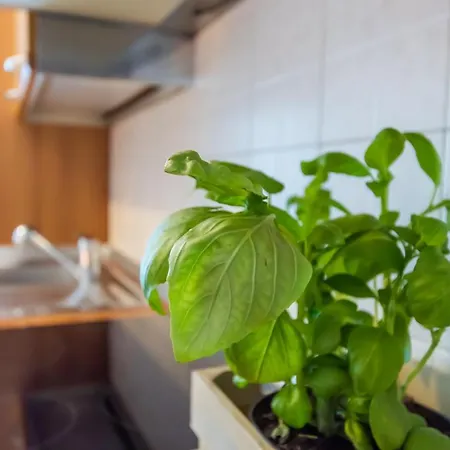 Apartamento Marialuisa's - Le Rive Del